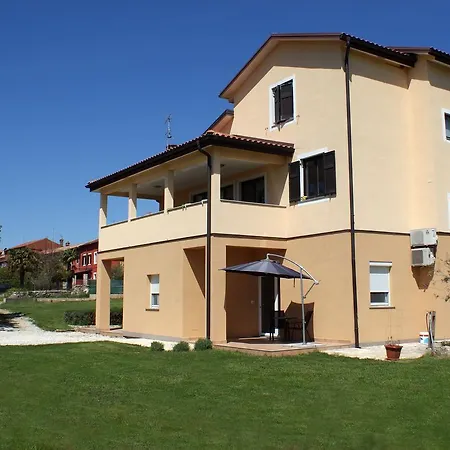 Zec Buje